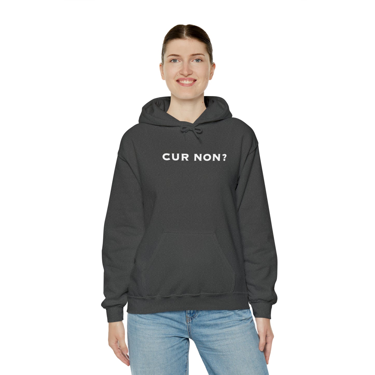 Marquis de Lafayette Cur Non (Why Not) Unisex Heavy Blend Hooded Sweatshirt