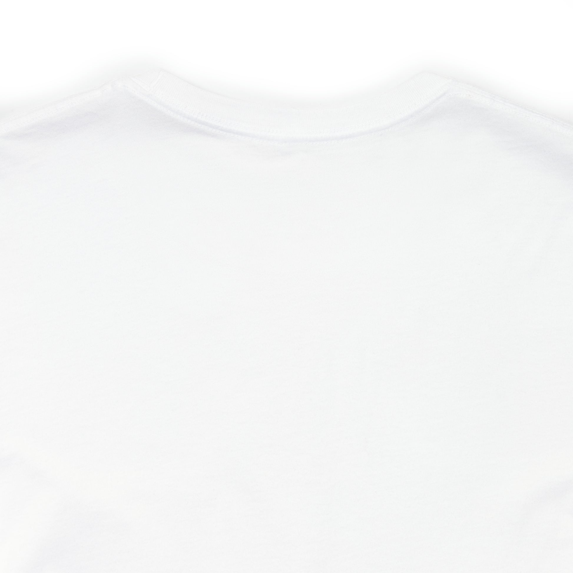Lafayette Marquis de Lafayette Hero of Two Worlds T-shirt with portrait