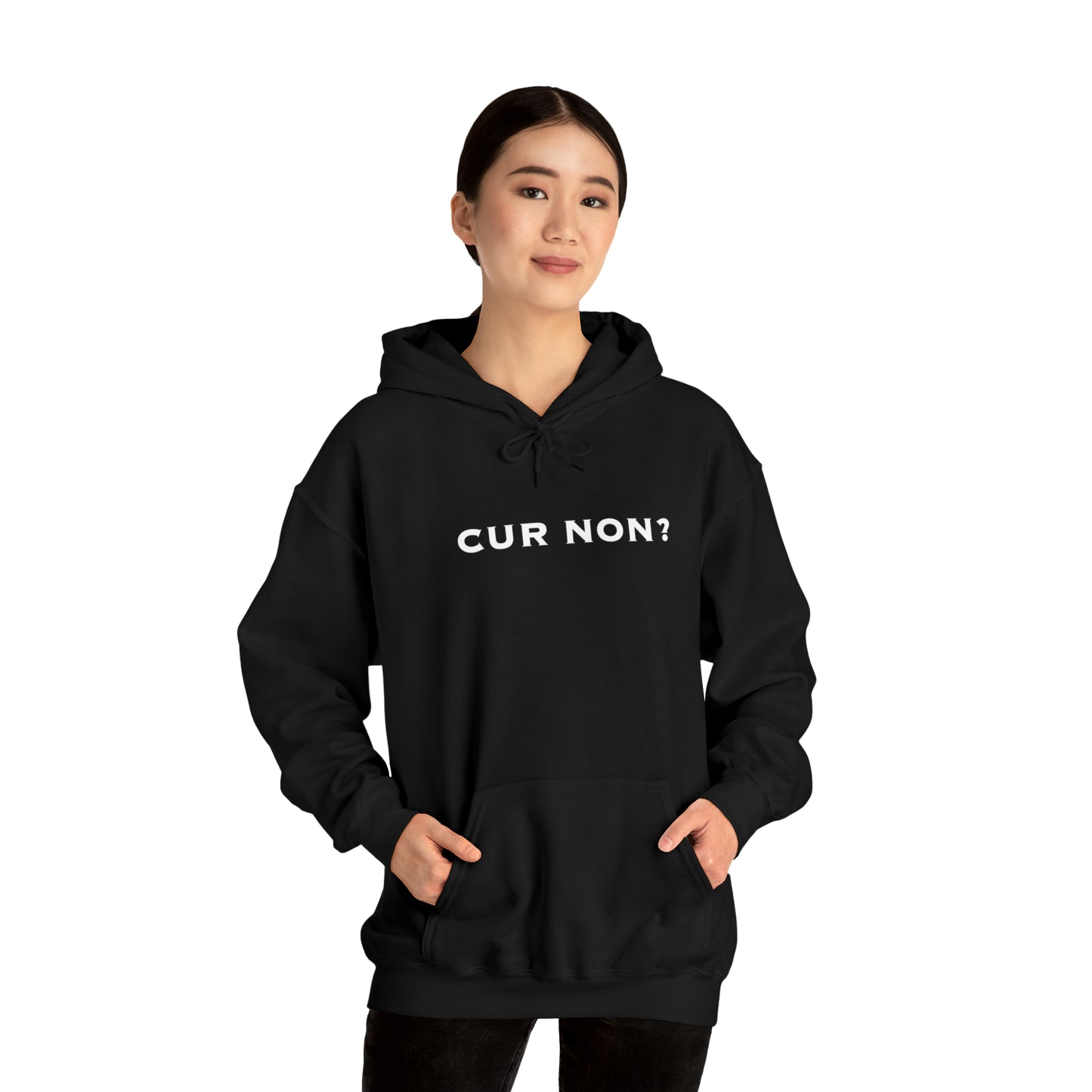 Marquis de Lafayette Cur Non (Why Not) Unisex Heavy Blend Hooded Sweatshirt