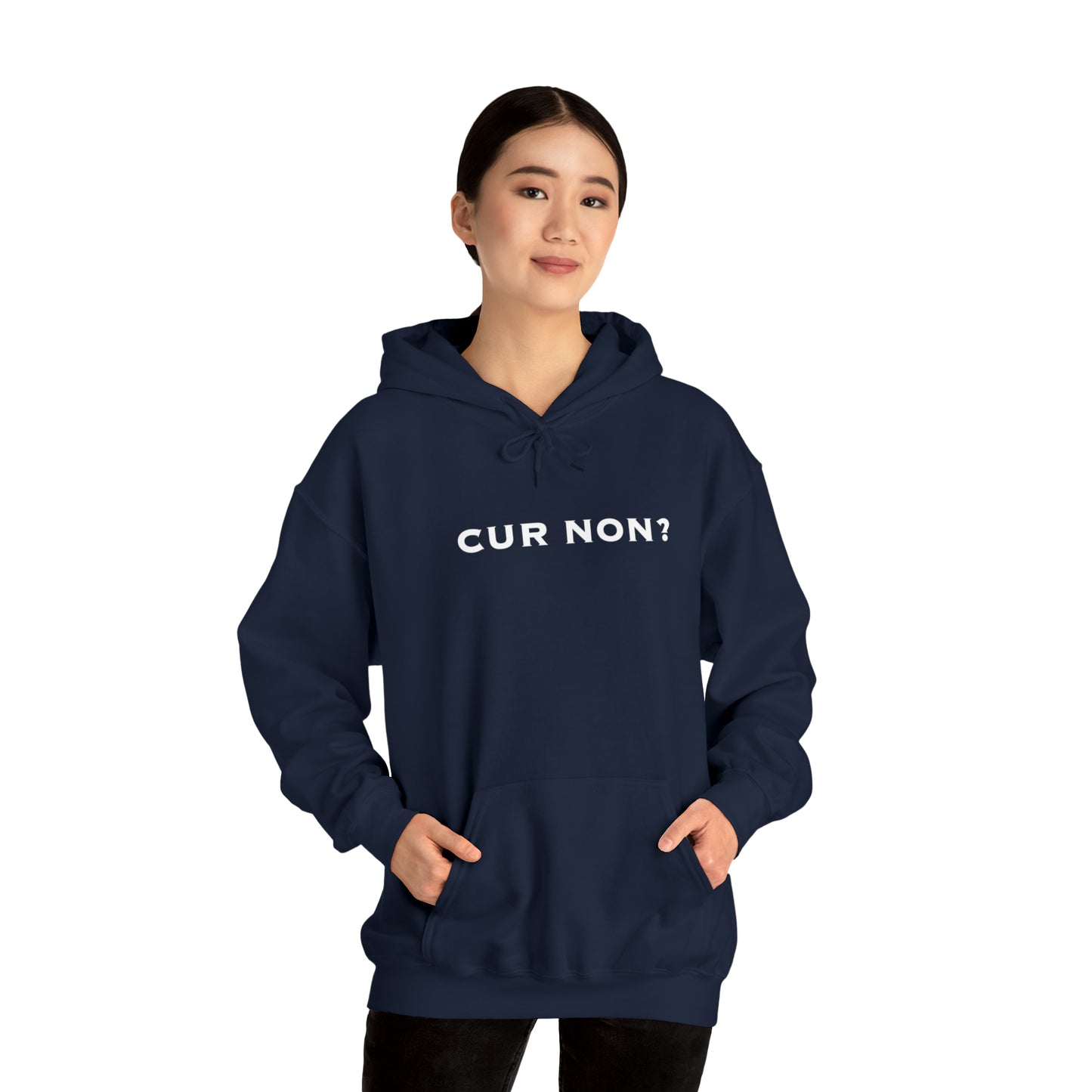Marquis de Lafayette Cur Non (Why Not) Unisex Heavy Blend Hooded Sweatshirt