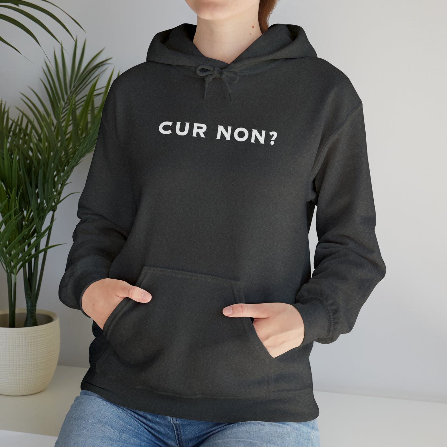 Marquis de Lafayette Cur Non (Why Not) Unisex Heavy Blend Hooded Sweatshirt
