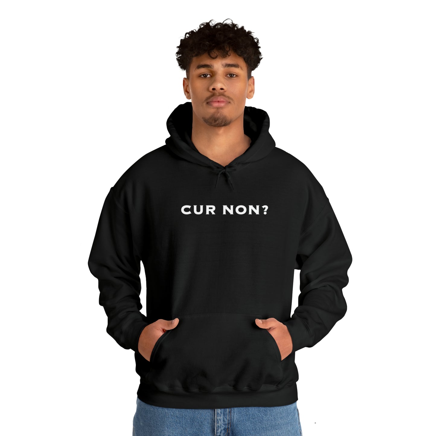 Marquis de Lafayette Cur Non (Why Not) Unisex Heavy Blend Hooded Sweatshirt