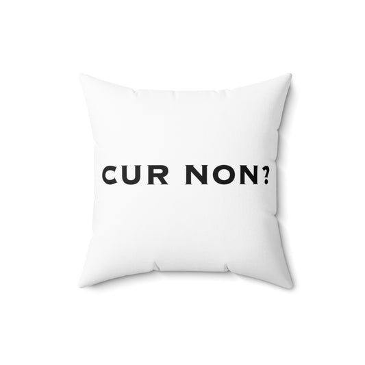Lafayette Pillow with Cur Non Why Not Marquis de Lafayette Motto