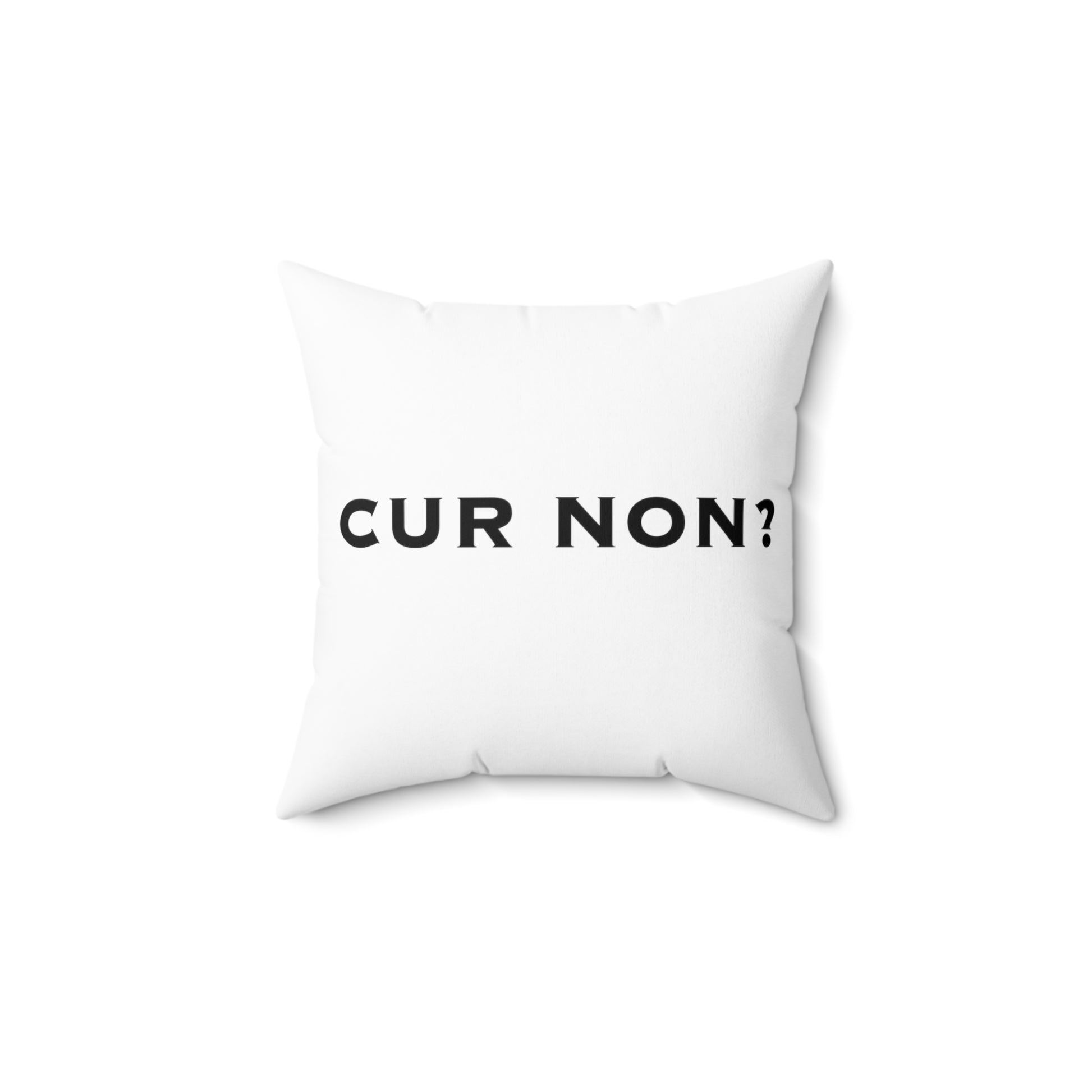 Lafayette Pillow with Cur Non Why Not Marquis de Lafayette Motto