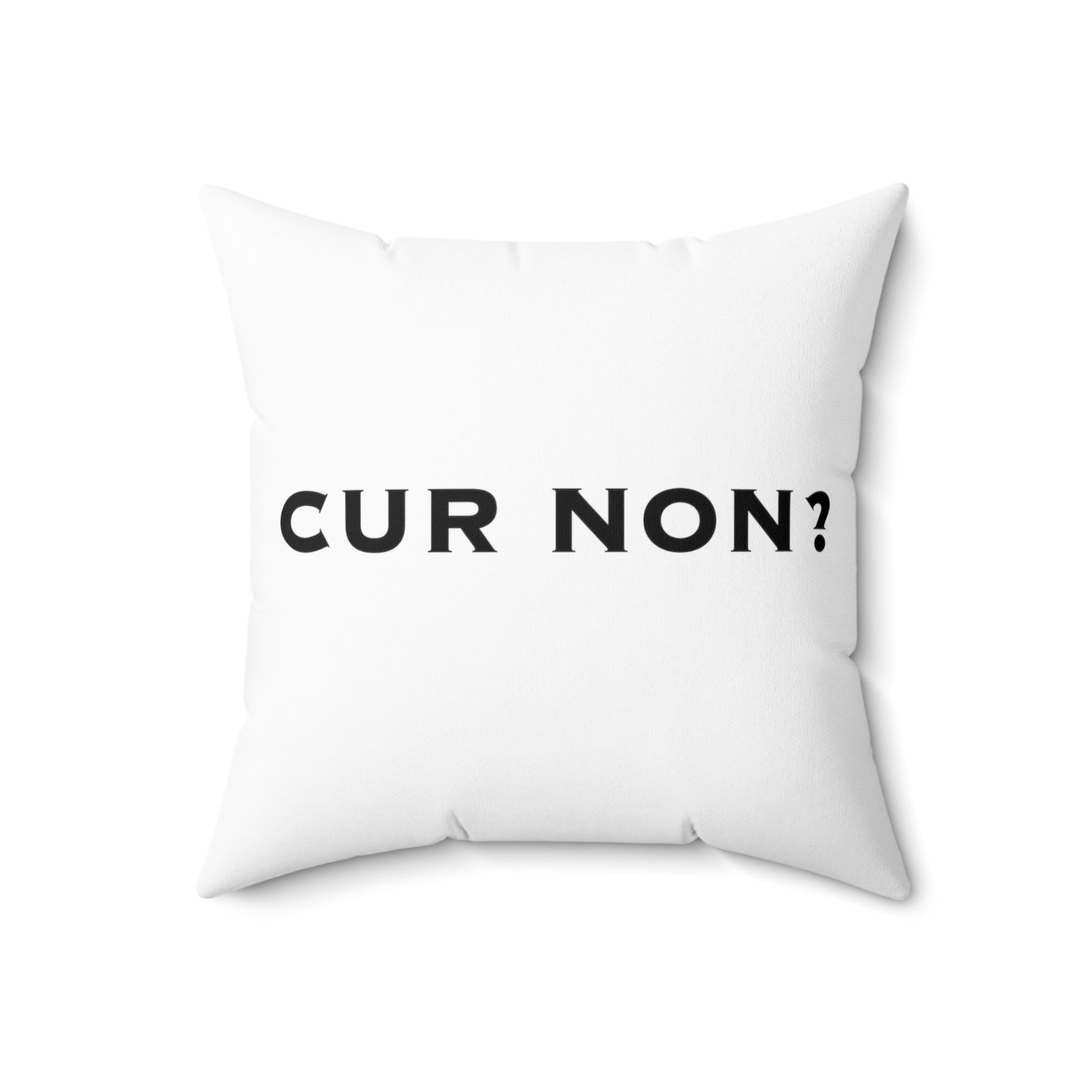 Lafayette Pillow with Cur Non Why Not Marquis de Lafayette Motto