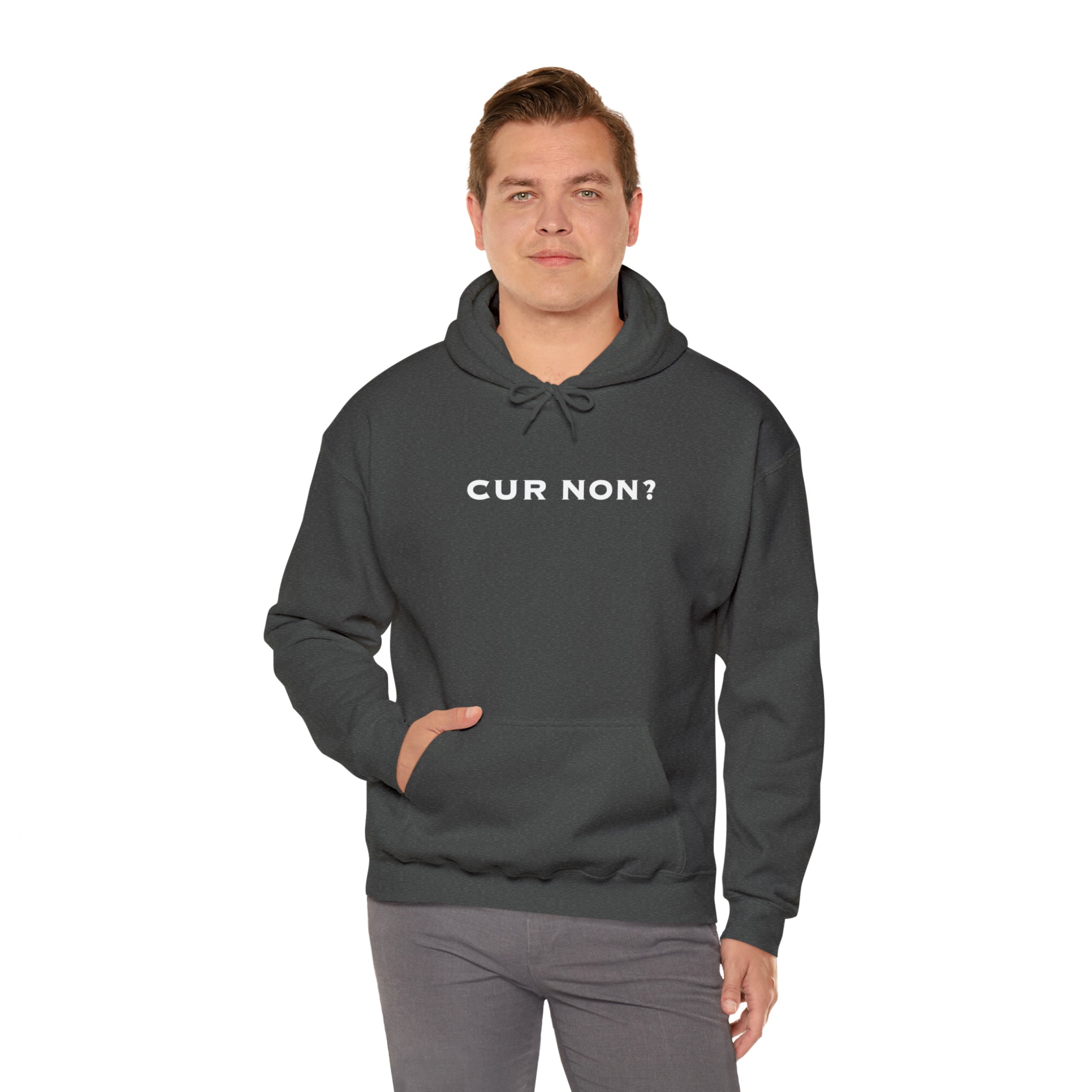 Marquis de Lafayette Cur Non (Why Not) Unisex Heavy Blend Hooded Sweatshirt