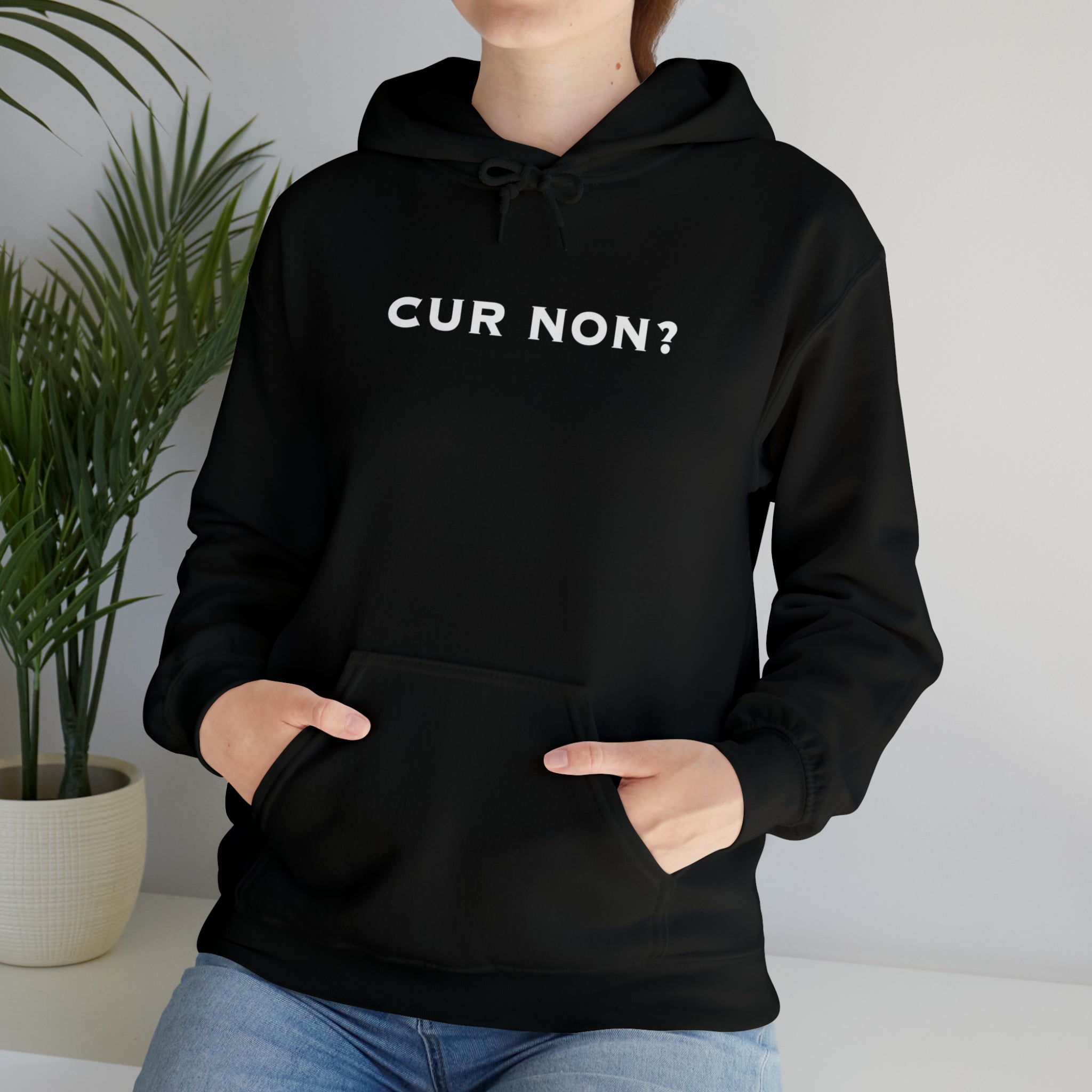 Marquis de Lafayette Cur Non (Why Not) Unisex Heavy Blend Hooded Sweatshirt