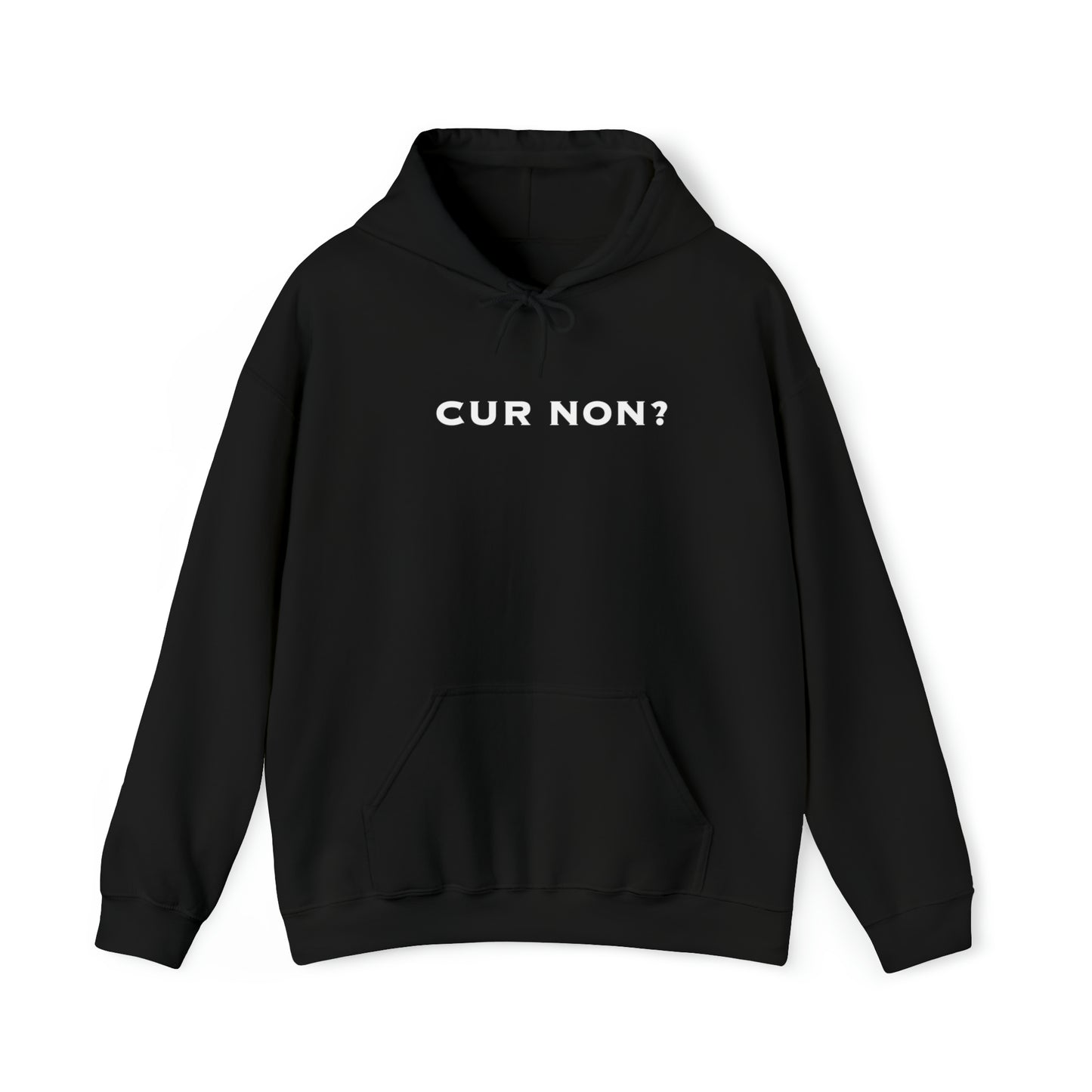 Marquis de Lafayette Cur Non (Why Not) Unisex Heavy Blend Hooded Sweatshirt