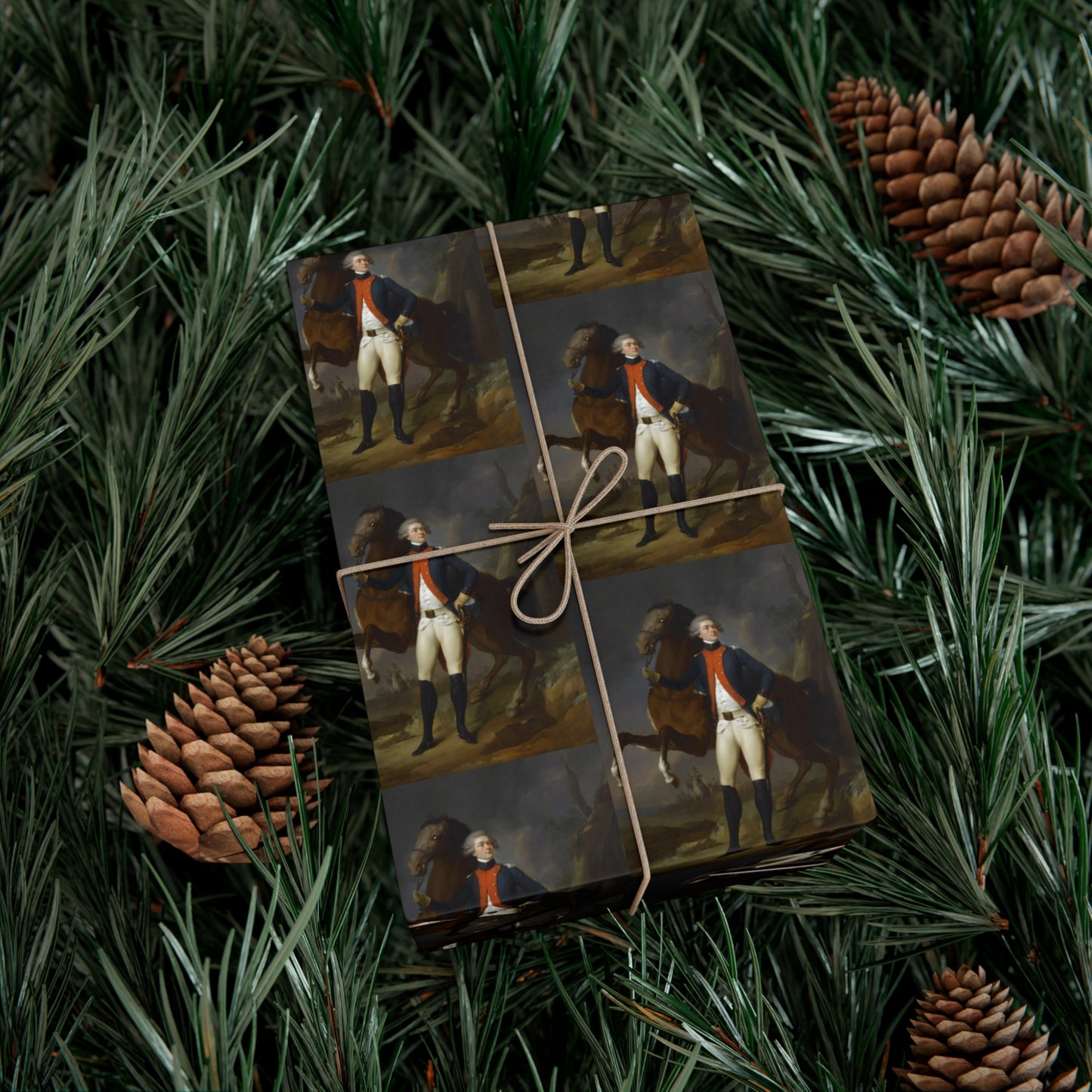 Marquis de Lafayette (Young Marquis) Wrapping Paper