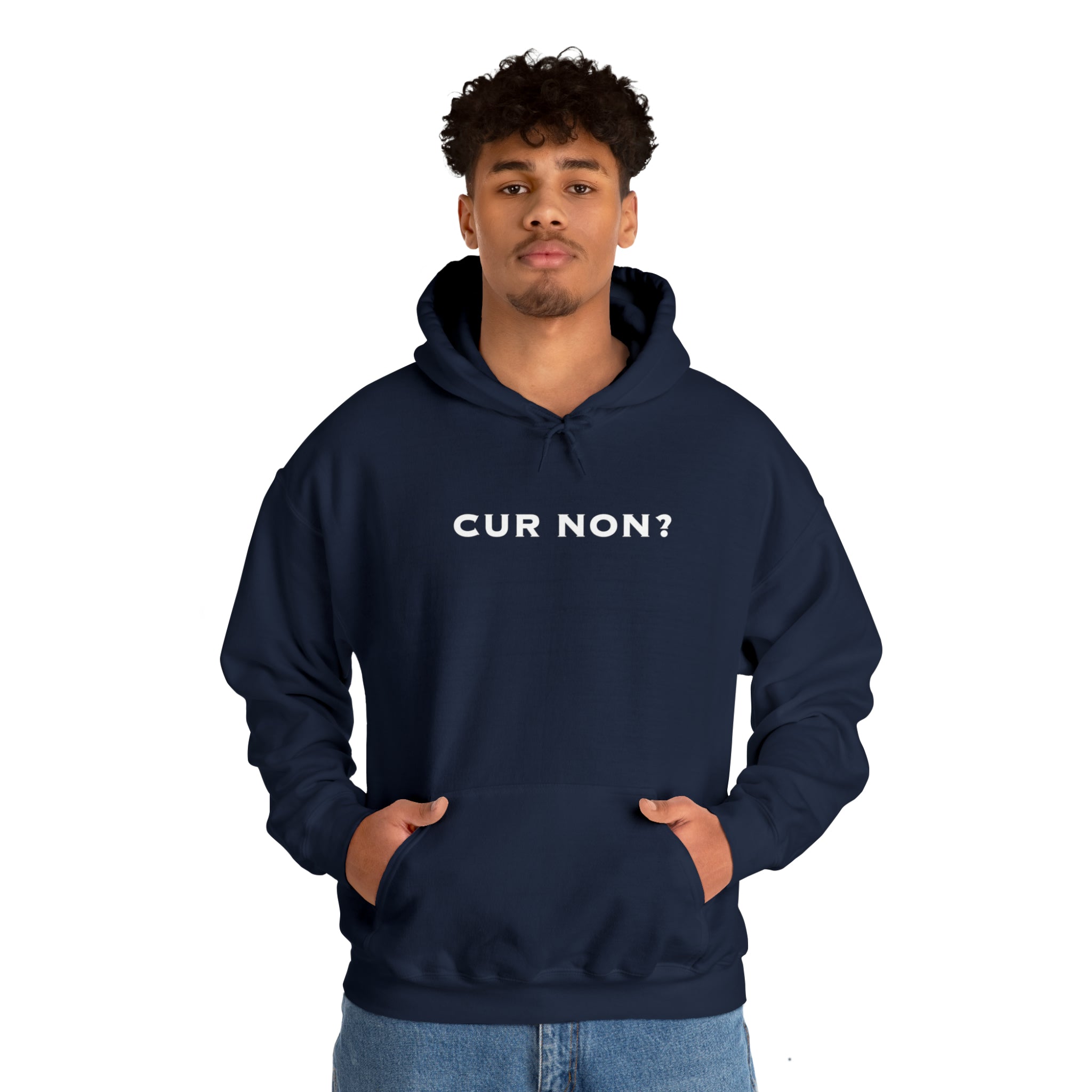 Marquis de Lafayette Cur Non (Why Not) Unisex Heavy Blend Hooded Sweatshirt